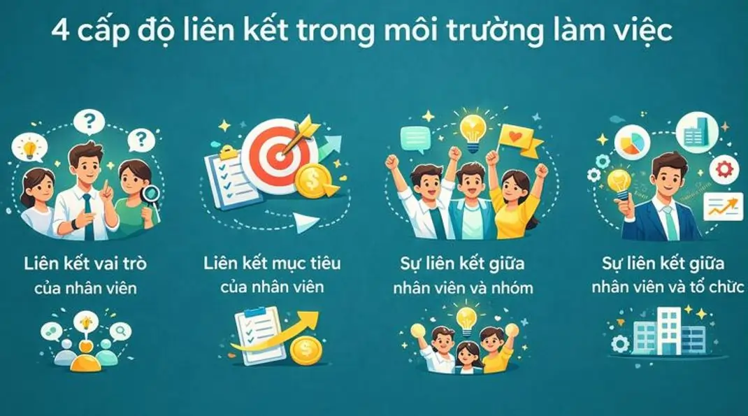 liên kết nhân viên với công ty